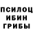 Псилоцибиновые грибы Magic Shrooms Oksana Petelko