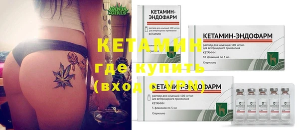 гидра Гусиноозёрск