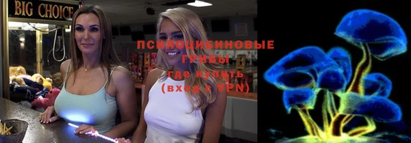 шишки Гусев