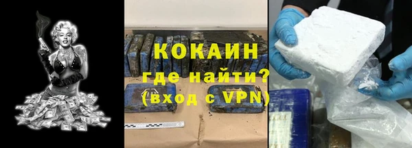 гидра Гусиноозёрск