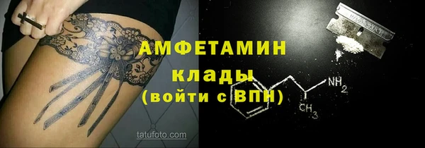 шишки Гусев