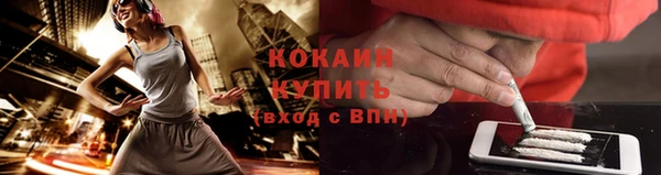 гидра Гусиноозёрск