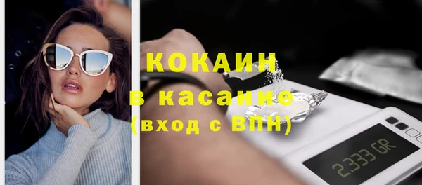 шишки Гусев