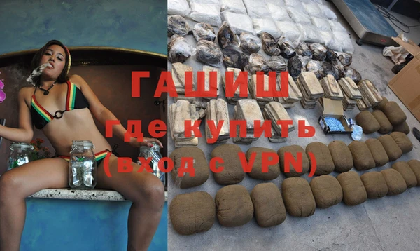 шишки Гусев