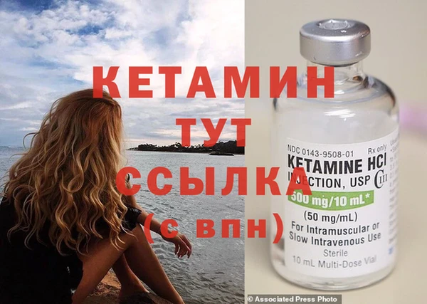 шишки Гусев