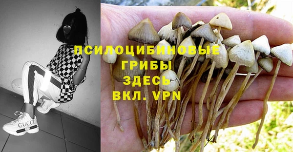 гидра Гусиноозёрск