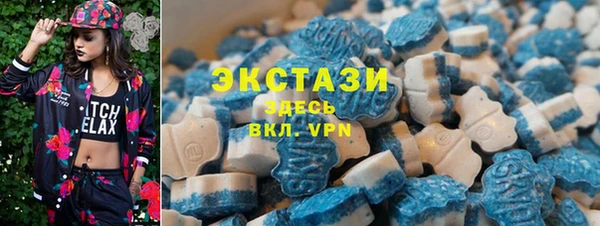 гидра Гусиноозёрск