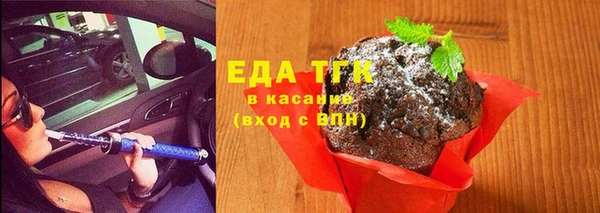 шишки Гусев