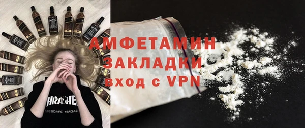 шишки Гусев