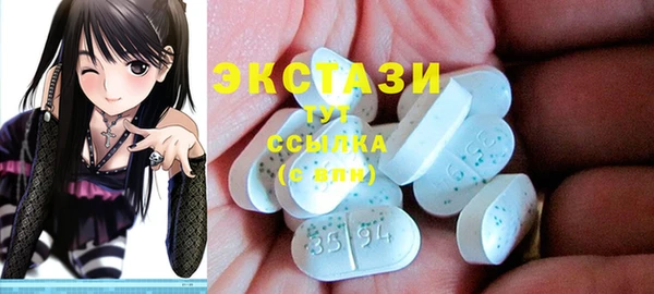 гидра Гусиноозёрск