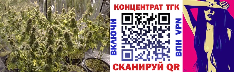 ТГК гашишное масло  Устюжна 